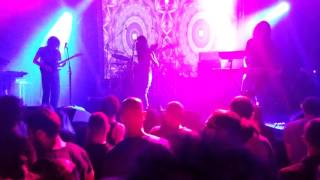 ozric tentacles-  white rhino tea