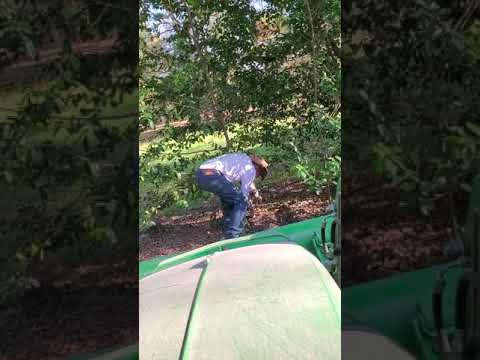 Quick to remove Quick to remove