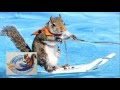 Duluth Boat, Sports, Travel & RV Show