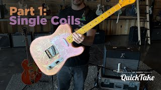 Video thumbnail for Dr Z Z Wreck Jr Part 1: Single Coils by Barnett Music Exchange
