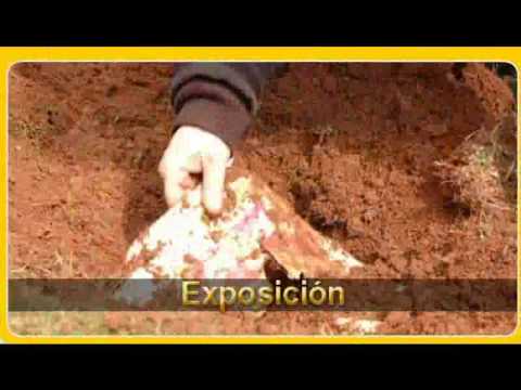 Exposición Christina Oiticica:Camino Peregrino 13 Mayo 2009