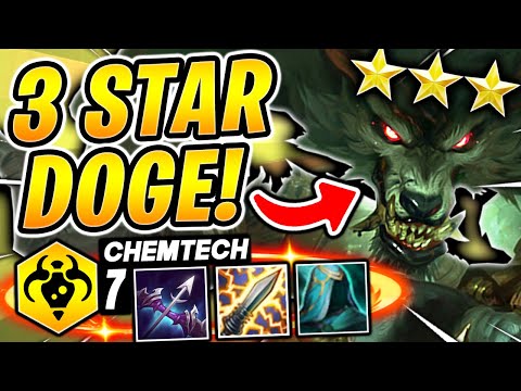 3 STAR ⭐⭐⭐ WARWICK! - TFT SET 6 Guide Teamfight Tactics BEST Comps 11.24 Ranked Meta Build Strategy