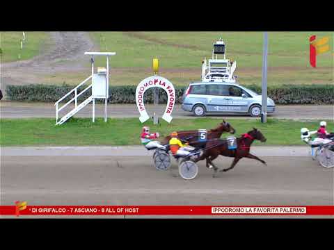 IV corsa del 28 gennaio 2023 - 5 Anni ed oltre - Finale Trofeo A.R.S. Metri 2000/2020