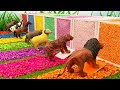 Dinosaurs, Animals, Alphabets, Colors and Numbers | Learning videos For kids
