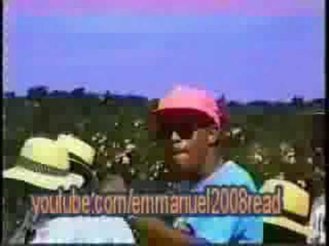 Sweet Micky - Cocorico