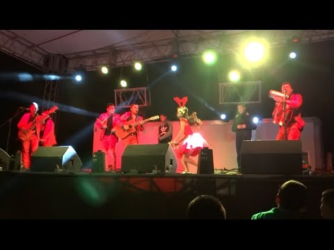 Popurri Mal Pensado Los Cedreños en vivo XV de Marely Manzanarez