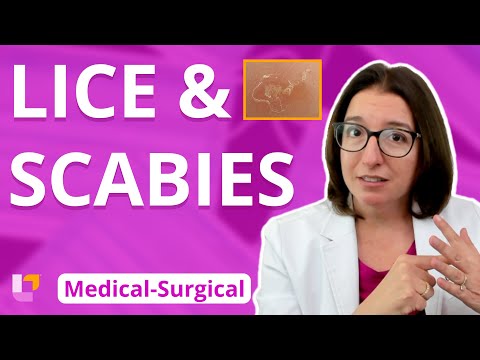 Lice & Scabies; Parasitic Infections: Integumentary System - Medical-Surgical  | @LevelUpRN