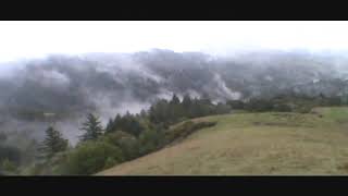 Simple Twist of Fate (Jerry Garcia)