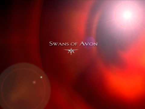 Swans Of Avon ~ Passion Insanity