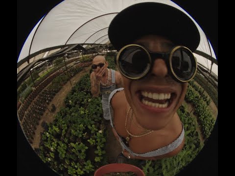 Adán Cruz - Tremendo Bonsai ft. Tren Lokote (Video Oficial)