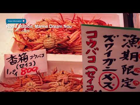 Port of Naoetsu excursion No.2