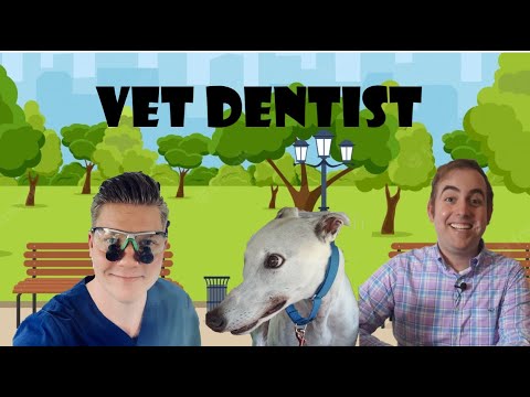 EXCITING Personal News and Dr. Morten Hinge's (@mortenvetdentist) Helpful Pet Oral Health Interview!