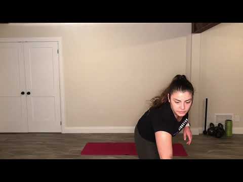 Workout from Home 2: 30 Minute HIIT Personal Trainer- Led (no weights needed)!