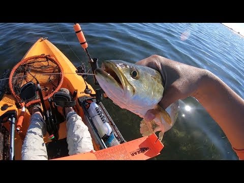 Kayak Fishing South Padre Island behind the SPI Convention Center in the 2019 Hobie Outback!