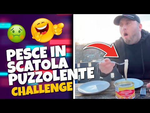 🦈🤢 Pesce PUZZOLENTE in scatola CHALLENGE 🤮 | Video divertenti Tik Tok 2023 🤣