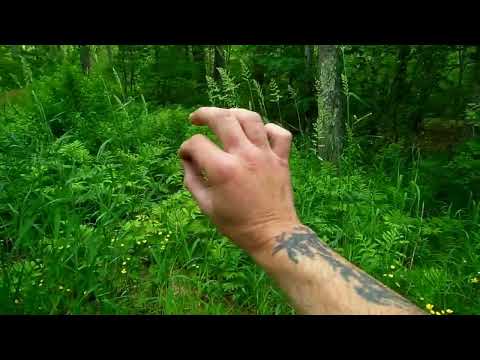 Video #989 ΦForcing Energy ForwardsΦ A Pre-Blasting Technique