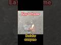 Make Your OWN Smoke Bomb At Home 1million Shorts