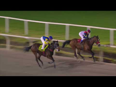 230917 c11 LIVING LEGEND (BRZ)