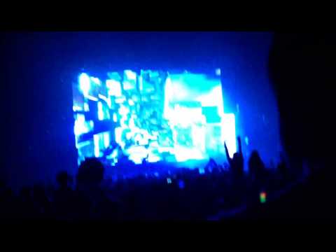 Zedd ANIMALS/Stay the Night