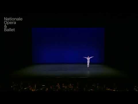 Victor Caixeta - Tchaikovsky Pas de Deux Variation