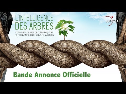 L'Intelligence des Arbres // Bande Annonce Officielle // VF