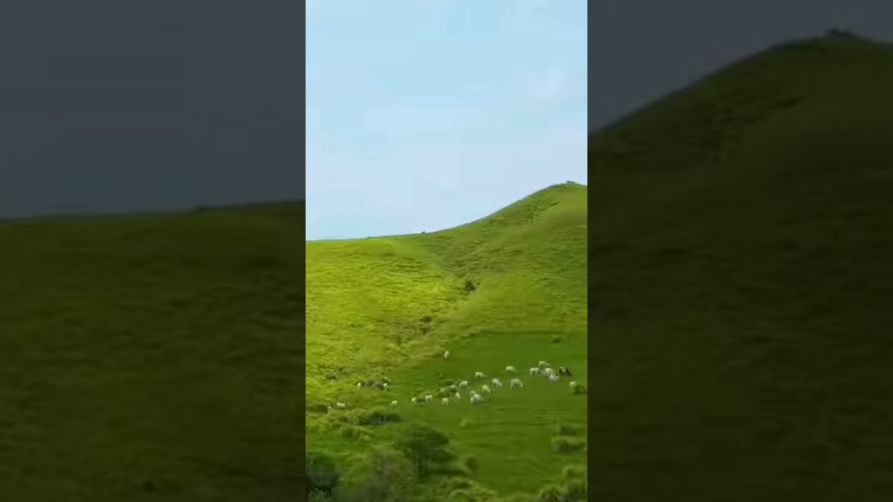 YouTube Short thumbnail