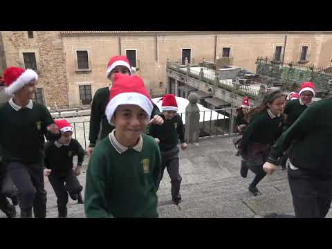 Vídeo Colegio Paideuterion