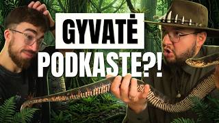 DŽIUNGLIŲ ŽMOGUS: ko nežinome apie egzotinius gyvūnus?