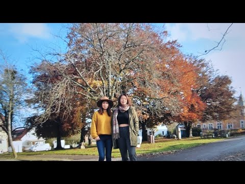 Lövestad, Skåne, Sverige