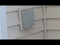 Yellow Jackets in Exhaust Vent in Hillsborough, NJ