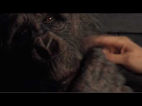 GREYSTOKE - Tarzan  -   ESCAPE!