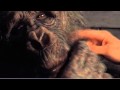 GREYSTOKE Tarzan ESCAPE