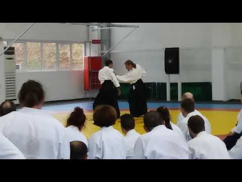 Seminar in Varna 15-17.06.2017 - Makoto Ito - Video 18