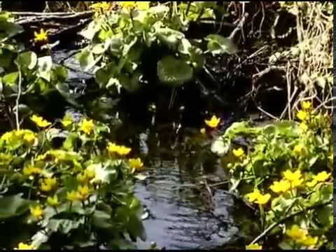 Station 06 Oekologischer Lehrpfad