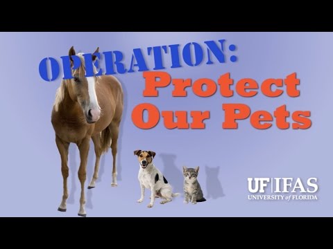 Operation: Protect Our Pets - Biting Midges and Horses