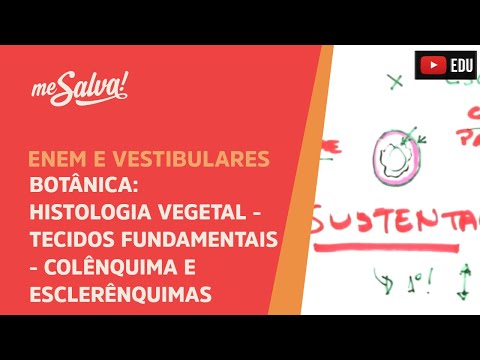 Me Salva! BOT18 - Botânica - Histologia vegetal: tecidos fundamentais - colênquima e esclerênquimas