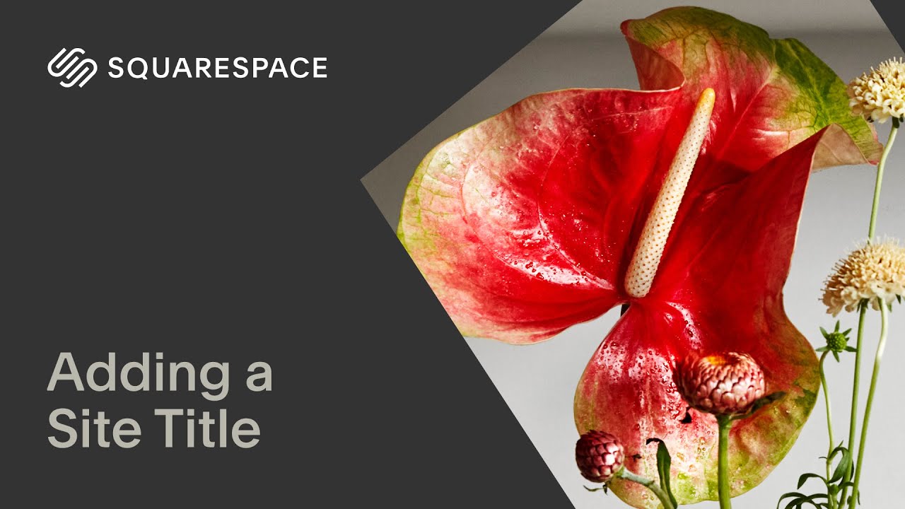 Adding a Site Title | Squarespace 7.1