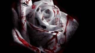 Arrache-moi ( Cover Louise Attaque )