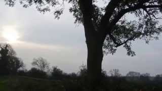 Halloween 2014 - Melody Road - Neil Diamond