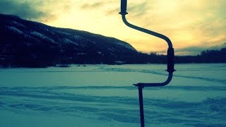Ловля щуки на жерлицы по старице