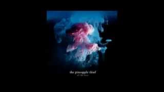 The Pineapple Thief - 04 - All the wars