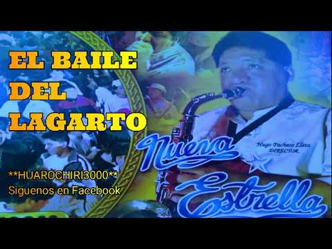 El Baile Del Lagarto - La Nueva Estrella
