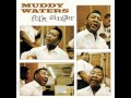 Muddy Waters- You Gonna Need My Help