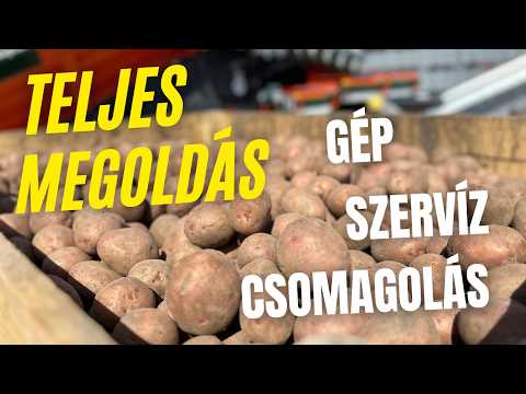 Egy kézből a teljes zöldségtermesztés? Így épült fel az SZ&B Agro Kft.