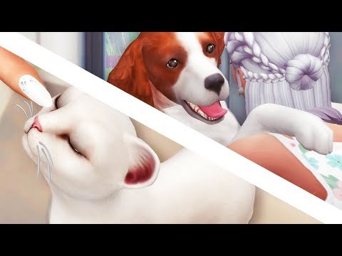 download lagu mp3 mp4 1 4 Dogs, download lagu 1 4 Dogs gratis, unduh video klip 1 4 Dogs