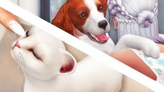 ADOPTION DAY // The Sims 4: Cats & Dogs #1