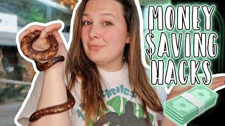 10 MORE Reptile Money Saving Tips and Tricks! (Part 2)