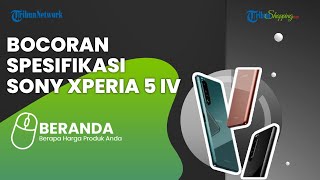 Diprediksi Bakal Didukung dengan Wireless Charging, Ini Bocoran Spesifikasi HP Sony Xperia 5 IV