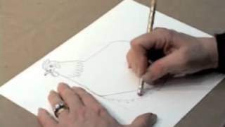 How to draw a Chicken