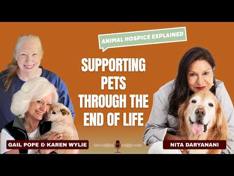 Animal Hospice & End-of-Life Care for Pets